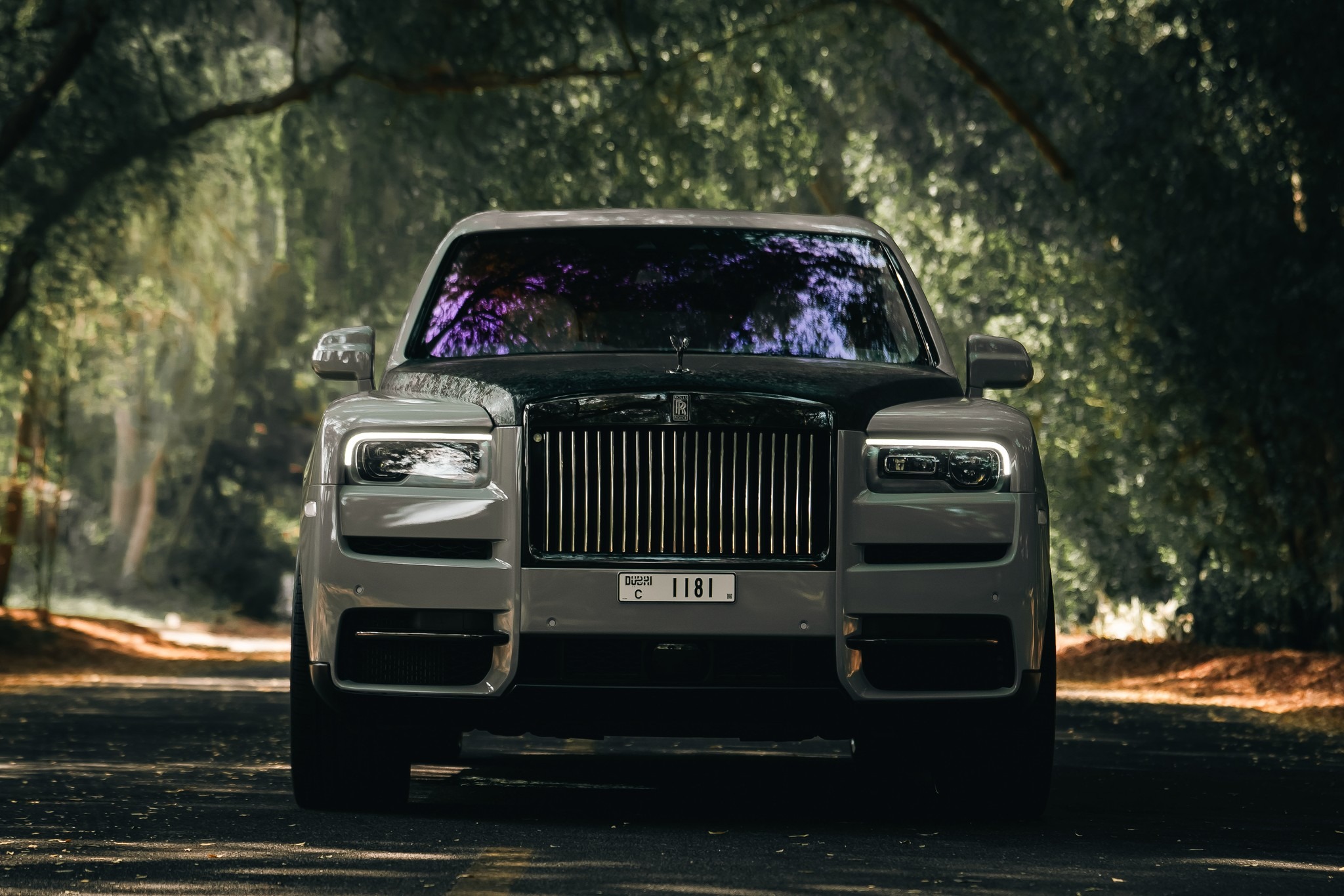 The Best Way To Inspect A Rolls Royce Before Renting It